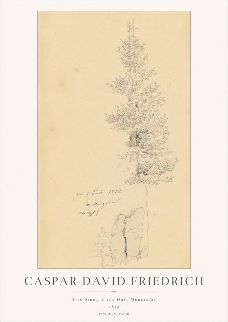 Caspar David Friedrich Tree Study in the Harz Mountains No1 - Plakat