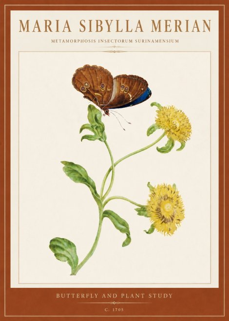 Maria Sibylla Merian Butterfly and Plant Study No5 - Plakat