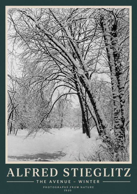 Alfred Stieglitz The Avenue – Winter No3 - Plakat