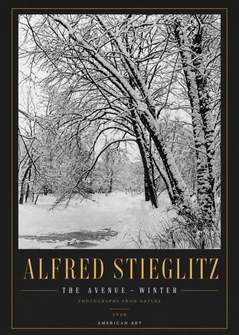 Alfred Stieglitz The Avenue – Winter No6 - Plakat