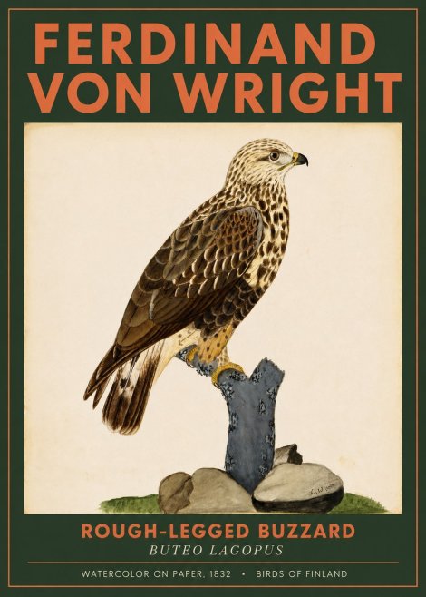 Ferdinand von Wright Rough-legged Buzzard No2 - Plakat