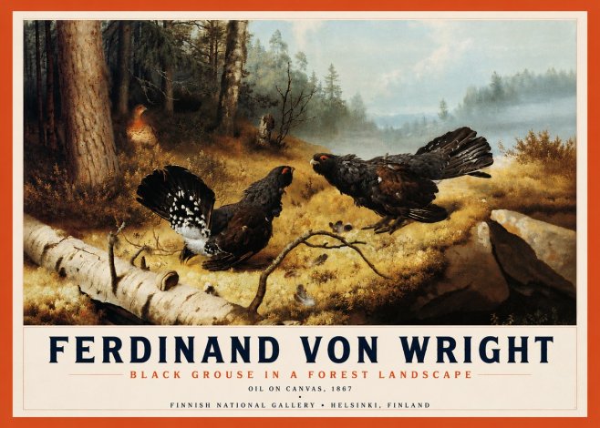 Ferdinand von Wright Black Grouse in a Forest Landscape No4 - Plakat