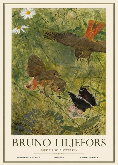 Bruno Liljefors Birds and Butterfly No1 - Plakat