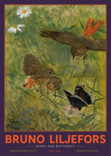 Bruno Liljefors Birds and Butterfly No2 - Plakat
