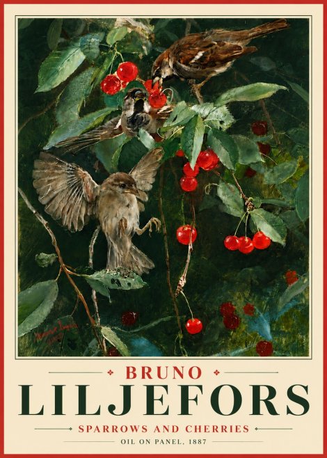 Bruno Liljefors Sparrows and Cherries No6 - Plakat
