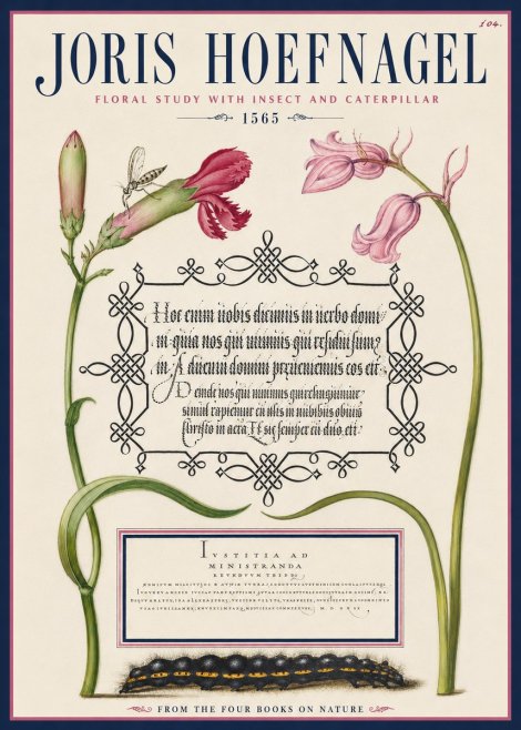 Joris Hoefnagel Floral Study with Insect and Caterpillar No4 - Plakat