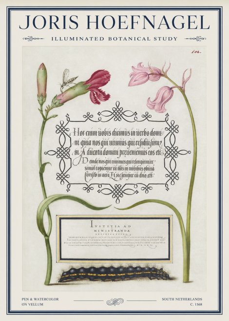 Joris Hoefnagel Floral Study with Insect and Caterpillar No5 - Plakat