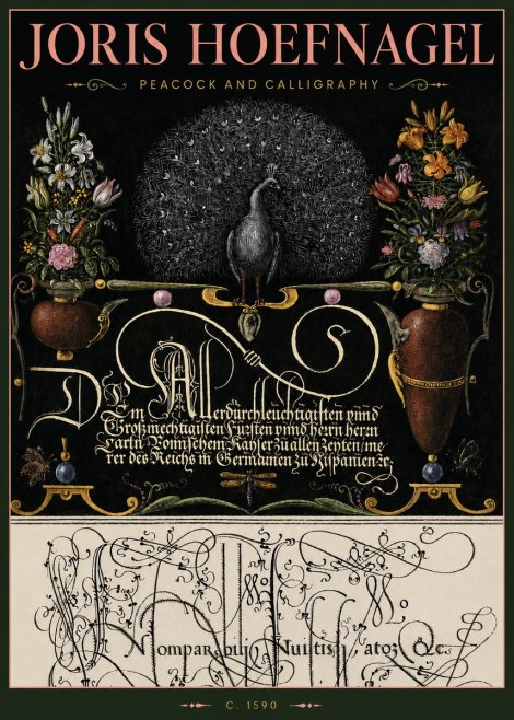 Joris Hoefnagel Peacock and Calligraphy No4 - Plakat