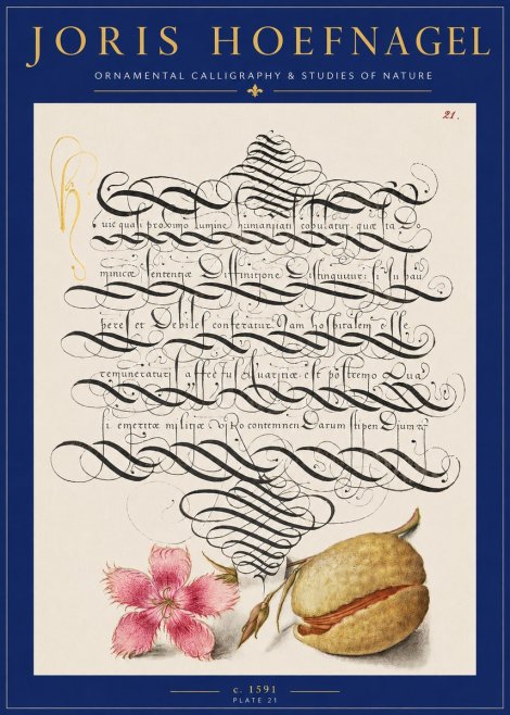Joris Hoefnagel Ornamental Calligraphy & Studies of Nature No2 - Plakat