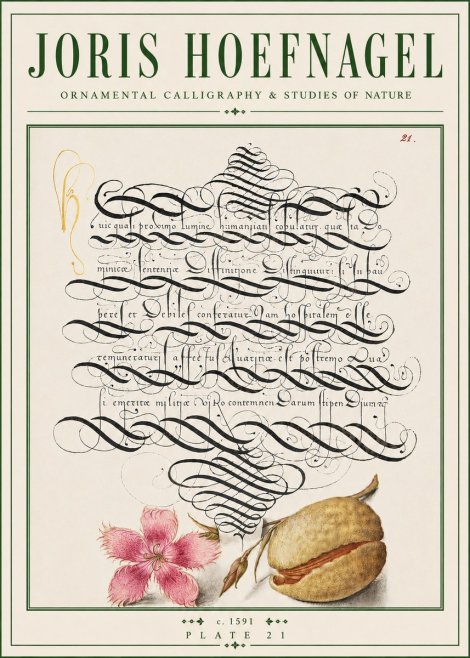 Joris Hoefnagel Ornamental Calligraphy & Studies of Nature No4 - Plakat