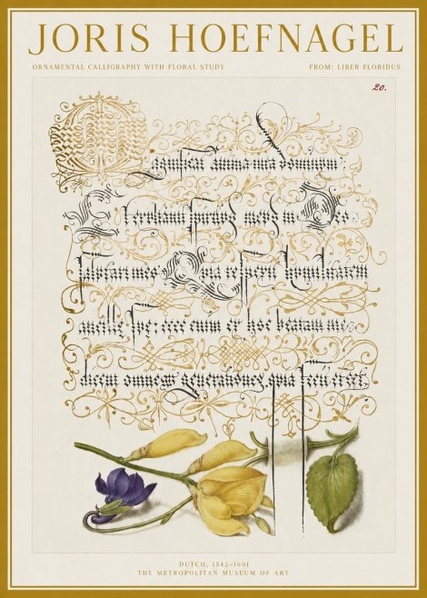 Joris Hoefnagel Ornamental Calligraphy with Floral Study No1 - Plakat