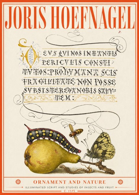 Joris Hoefnagel Ornament and Nature - Illuminated Script and Studies of Insects and Fruit No2 - Plakat
