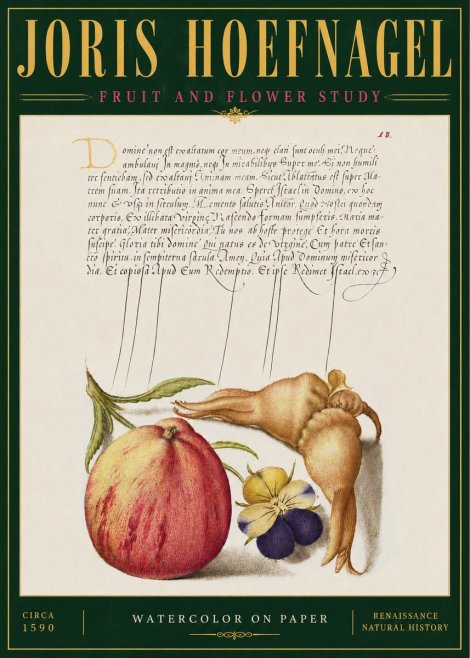 Joris Hoefnagel Fruit and Flower Study No4 - Plakat