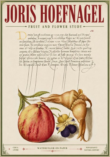 Joris Hoefnagel Fruit and Flower Study No6 - Plakat