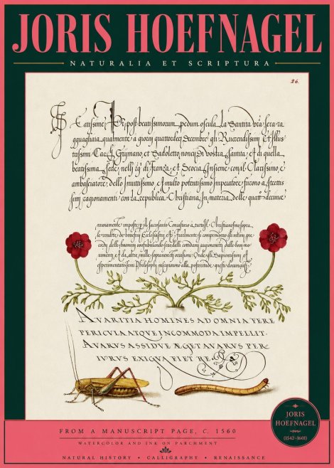 Joris Hoefnagel Illuminated Page with Flowers, Insects & Latin Script No3 - Plakat