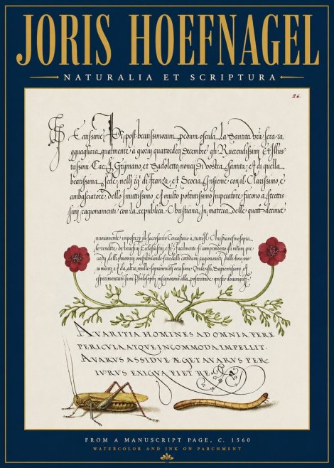 Joris Hoefnagel Illuminated Page with Flowers, Insects & Latin Script No4 - Plakat