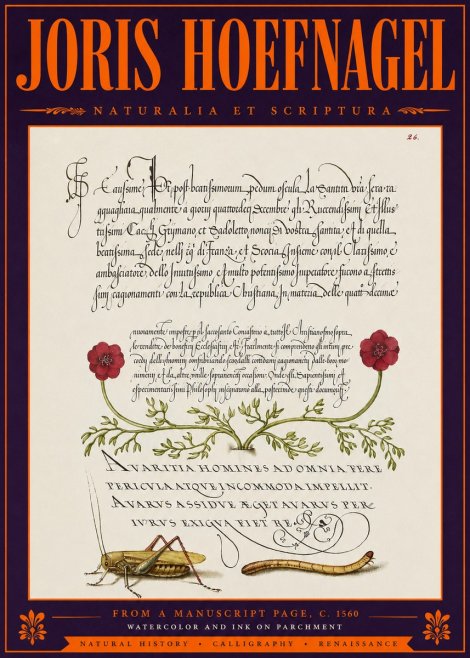 Joris Hoefnagel Illuminated Page with Flowers, Insects & Latin Script No6 - Plakat