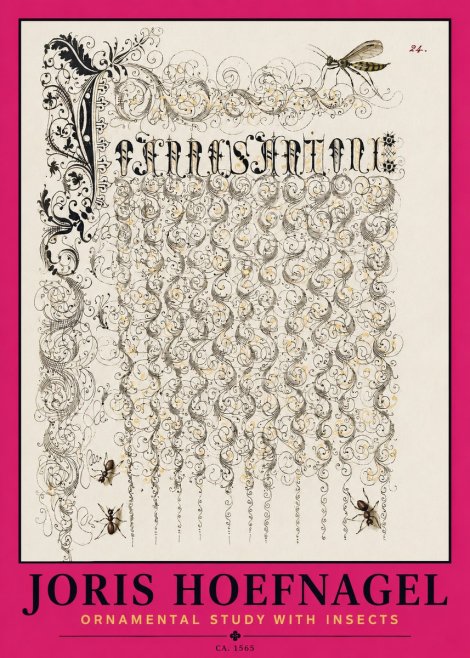 Joris Hoefnagel Ornamental Study with Insects No2 - Plakat
