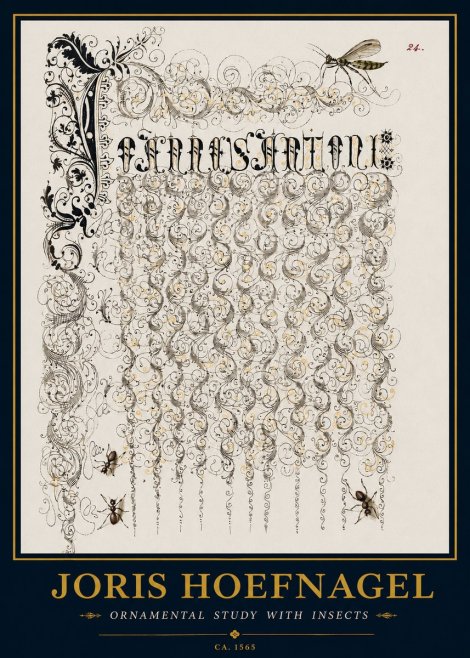 Joris Hoefnagel Ornamental Study with Insects No3 - Plakat