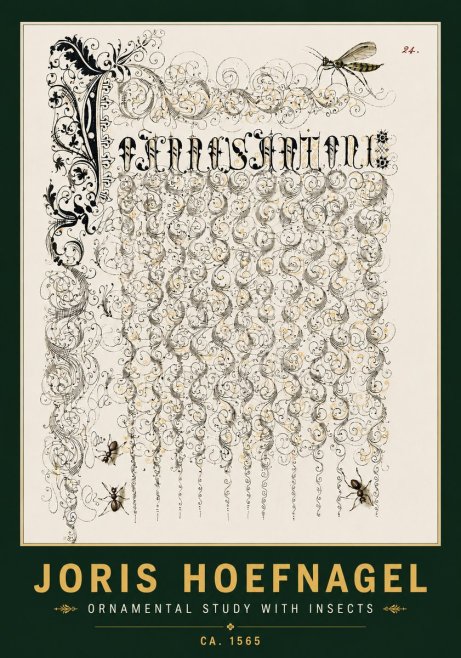 Joris Hoefnagel Ornamental Study with Insects No4 - Plakat