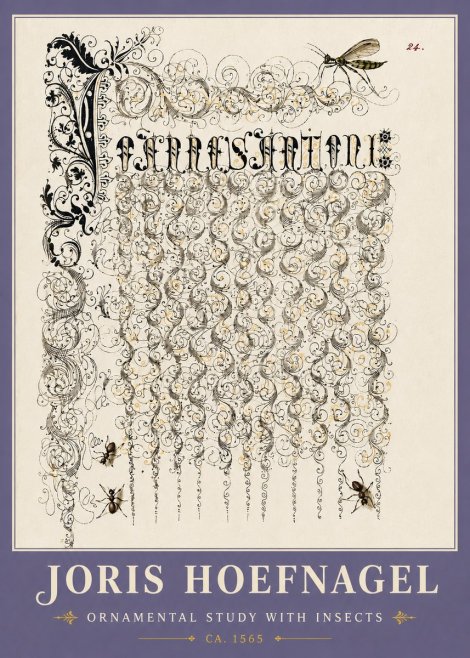 Joris Hoefnagel Ornamental Study with Insects No6 - Plakat
