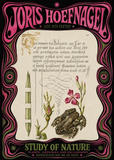 Joris Hoefnagel Study of Nature I No3 - Plakat