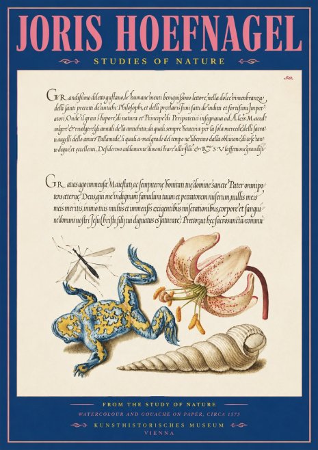 Joris Hoefnagel From the Study of Nature No2 - Plakat