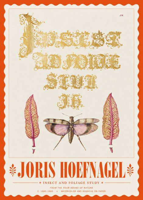 Joris Hoefnagel Insect and Foliage Study No3 - Plakat