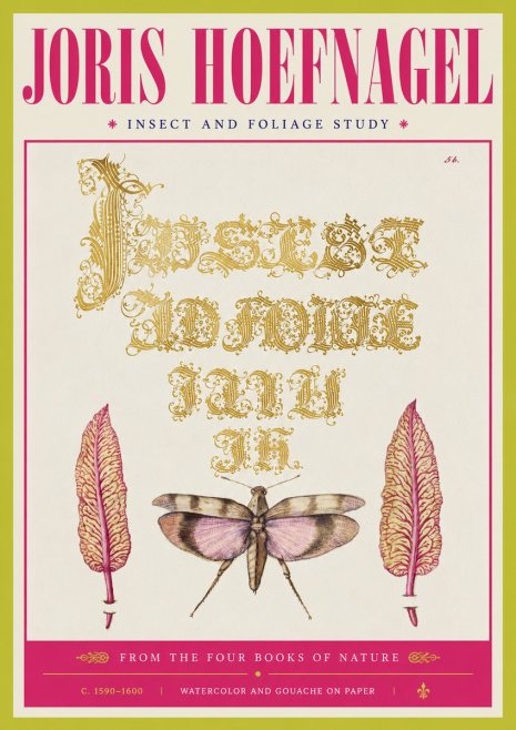 Joris Hoefnagel Insect and Foliage Study No4 - Plakat