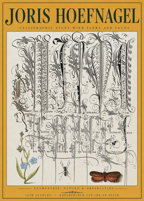 Joris Hoefnagel Calligraphic Study with Flora and Fauna No3 - Plakat