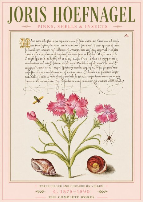 Joris Hoefnagel Pinks, Shells & Insects No6 - Plakat