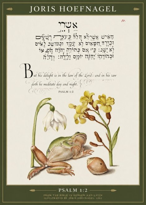 Joris Hoefnagel Psalm 1:2 No1 - Plakat
