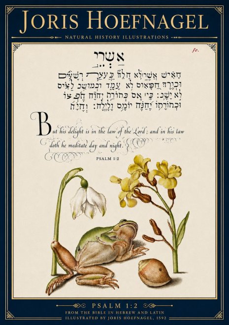 Joris Hoefnagel Psalm 1:2 No6 - Plakat