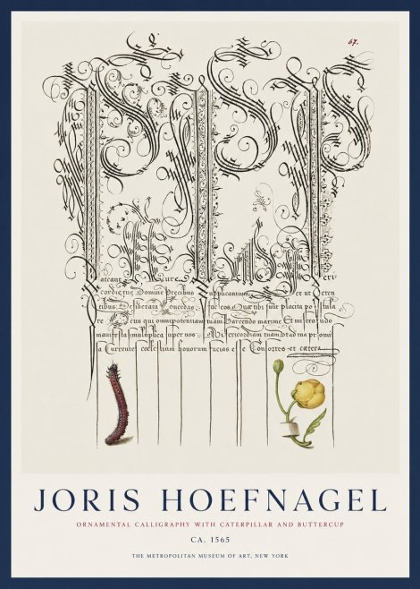 Joris Hoefnagel Ornamental Calligraphy with Caterpillar and Buttercup No1 - Plakat