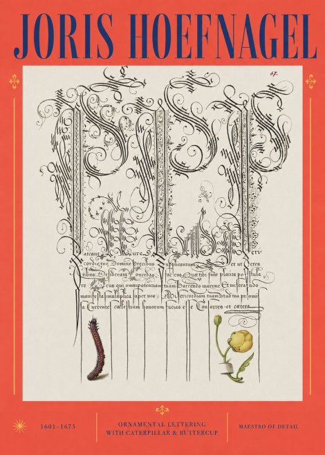 Joris Hoefnagel Ornamental Calligraphy with Caterpillar and Buttercup No3 - Plakat