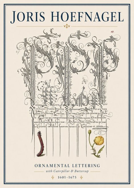 Joris Hoefnagel Ornamental Calligraphy with Caterpillar and Buttercup No4 - Plakat