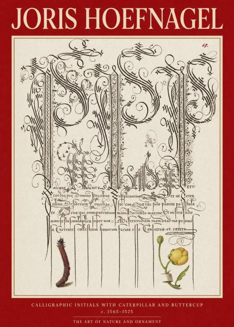 Joris Hoefnagel Ornamental Calligraphy with Caterpillar and Buttercup No6 - Plakat