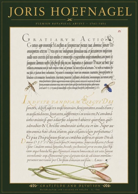 Joris Hoefnagel Thanksgiving to God • Institute for Botanical Studies No3 - Plakat