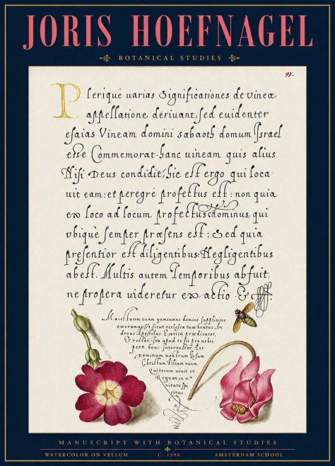 Joris Hoefnagel Manuscript with Botanical Studies No3 - Plakat