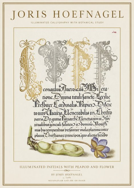 Joris Hoefnagel Illuminated Initials with Peapod and Flower No1 - Plakat