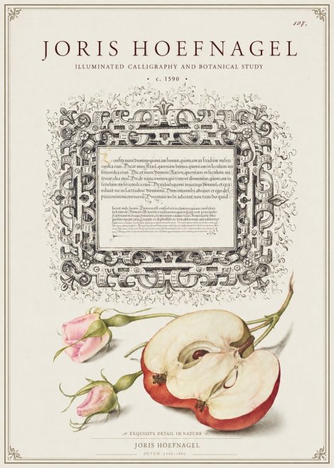 Joris Hoefnagel Illuminated Calligraphy and Botanical Study No1 - Plakat