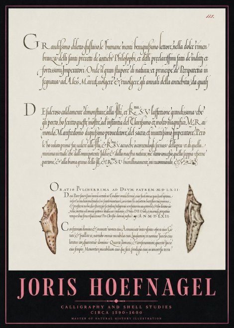 Joris Hoefnagel Study of Shells and Calligraphy No5 - Plakat