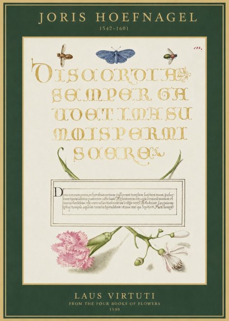 Joris Hoefnagel Laus Virtuti No1 - Plakat