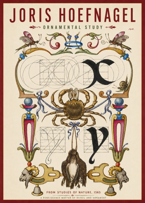 Joris Hoefnagel Ornamental Study II No3 - Plakat