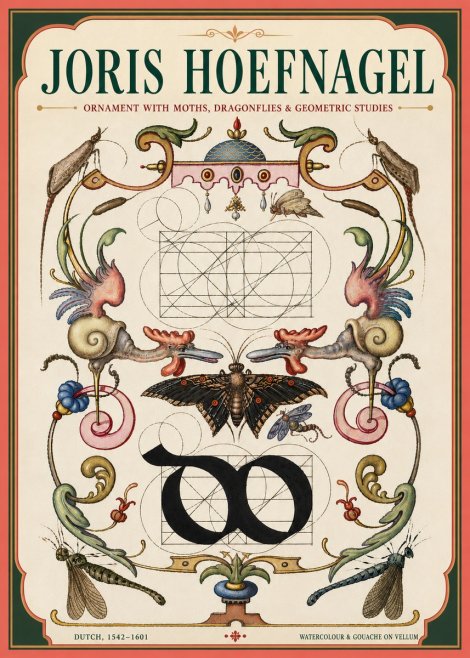 Joris Hoefnagel Ornament with Moths, Dragonflies & Geometric Studies No4 - Plakat