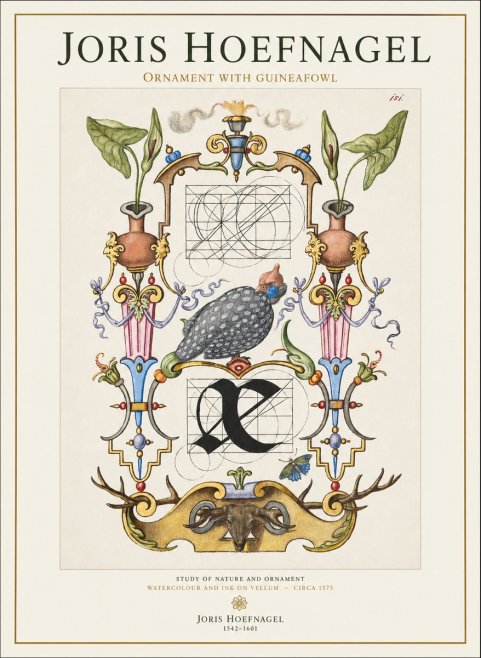 Joris Hoefnagel Ornament with Guineafowl No1 - Plakat