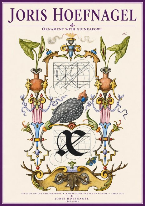 Joris Hoefnagel Ornament with Guineafowl No3 - Plakat