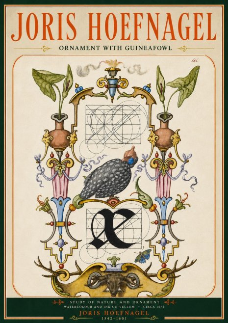 Joris Hoefnagel Ornament with Guineafowl No5 - Plakat