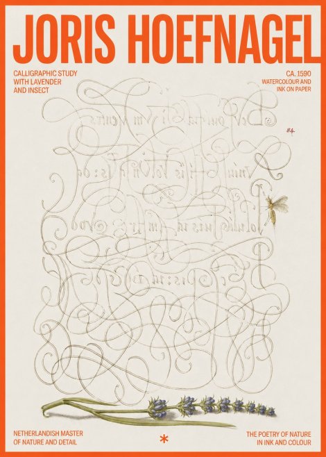 Joris Hoefnagel Calligraphic Study with Insect and Flower No6 - Plakat