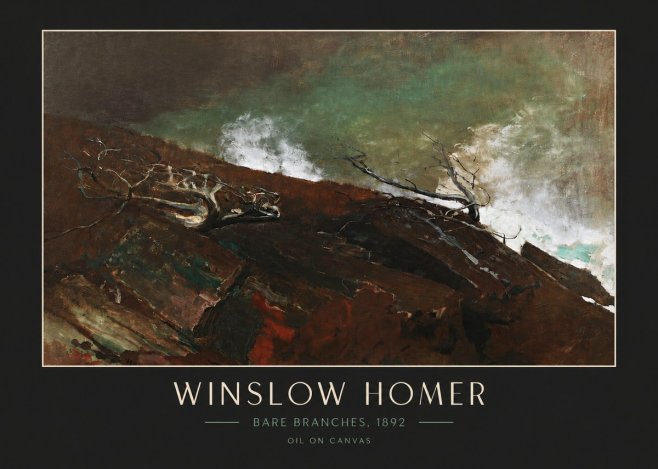Winslow Homer Bare Branches, 1892 No4 - Plakat